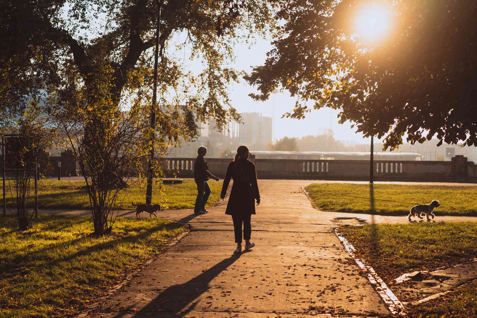 Wandelen in de ochtend