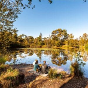 Oisterwijkse Bossen en Vennen