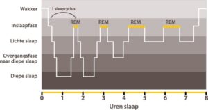 slaapcyclus binnen een nacht slapen