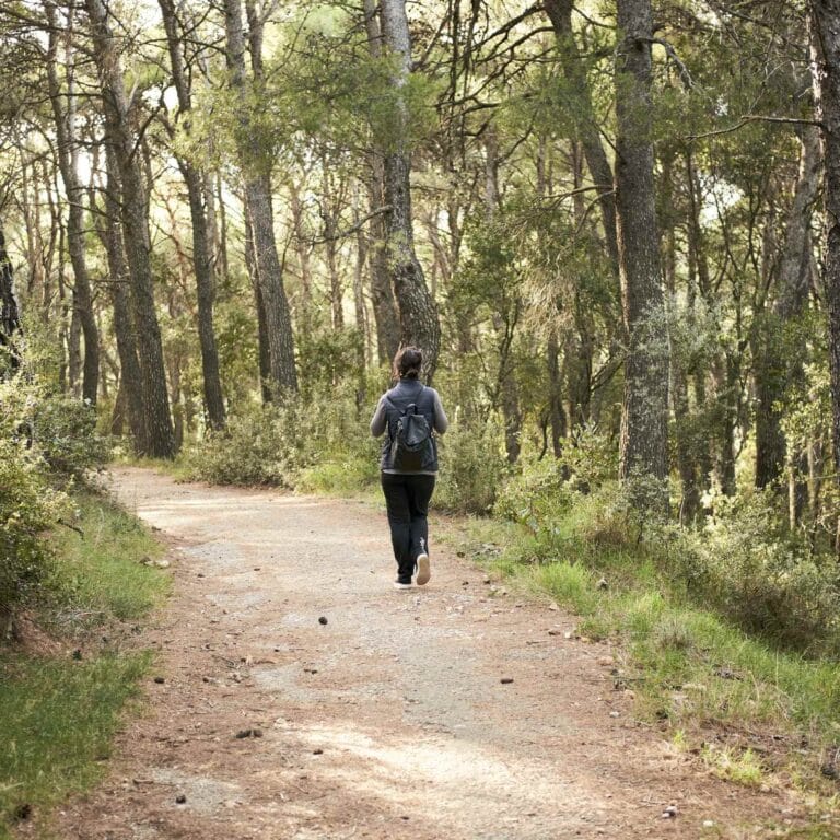 Voor gezondheid lopen in het bos